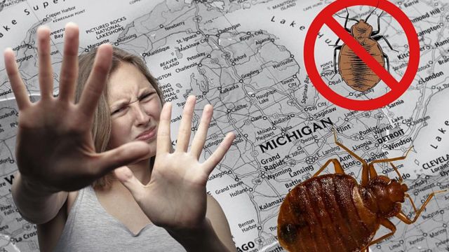 Michigan Crawling With Bed Bugs, 3 Cities Among Most Infested